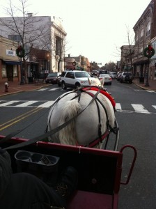 horses-ass Not Rush Holt