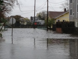 522434_418840768182562_745295501_n