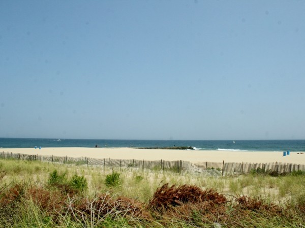 Lots of Open Space at Bradley Cove, July 23, 2014