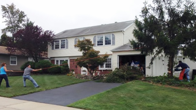 Luttrell pulling down trees (640x360)