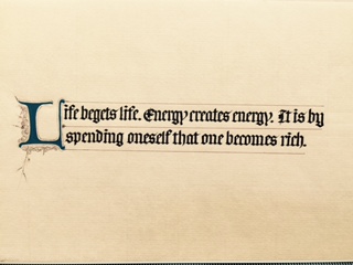 Life begets robert o'connor